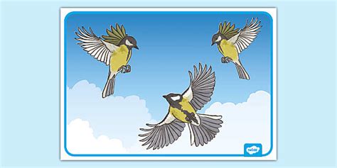 Poster of Flying Birds (teacher made) - Twinkl