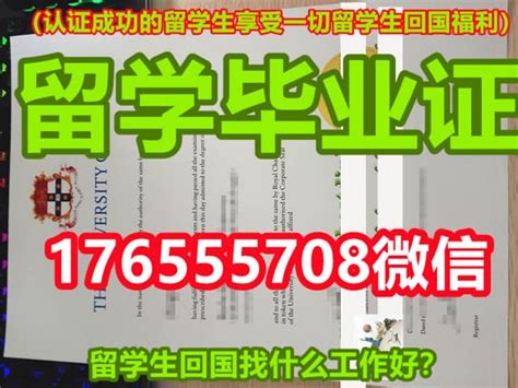 泰安市树人外国语学校-广州市酷声音响有限公司