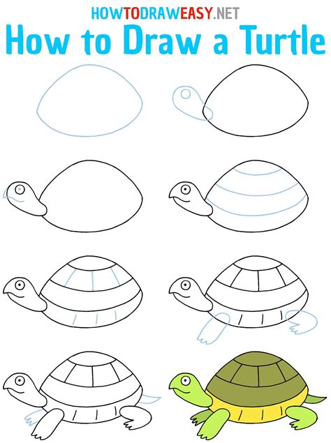 Image result for Beginner Turtle Art Tutorial