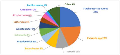 Outbreaks in the Neonatal Intensive Care Unit: Description and Management