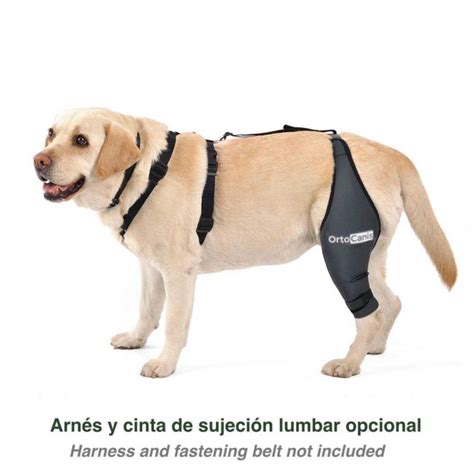 Ortocanis Knee Brace for Dogs with Cruciate Ligament Injuries, Patella Dislocation or ...