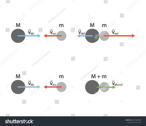 Image result for Inelastic Collisions Example