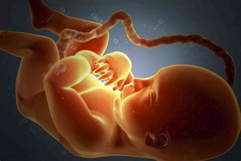 孕期3大症状暗示胎儿缺氧，解决不及时影响孩子智力 - 姐妹邦