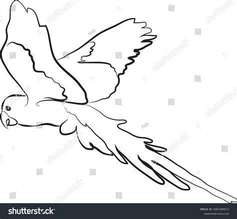 Image result for How to Draw Parrot Flying