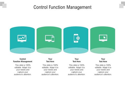 Control Function of Management 的图像结果