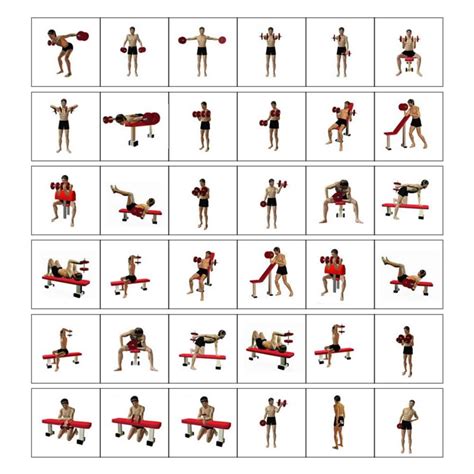 Dumbbells Tutorial 的图像结果