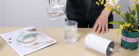 Image result for Mini Humidifier