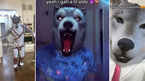 Alpha Wolf Meme