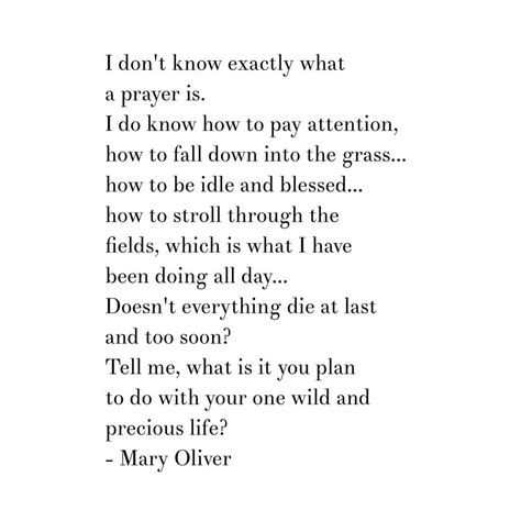 Mary Oliver Poems About Nature