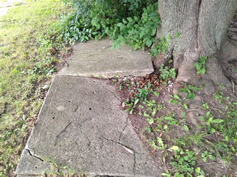Syracuse details sidewalk replacement plans. Will your block get one ...