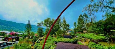 Istana Bromo Resort and Resto (Sukapura, ), Sukapura hotel discounts ...