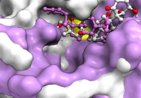 truncation 的图像结果
