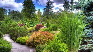 Tree nursery wallpapers hd, desktop backgrounds, images and pictures