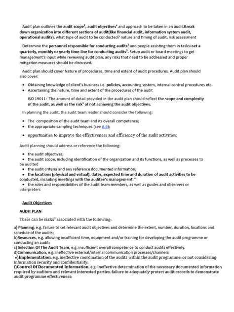 Audit Plan Example 的图像结果