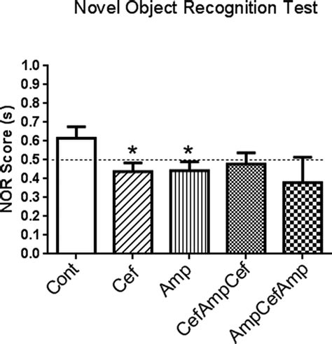 Image result for Object Learning Test
