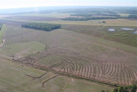 How to Lay Field Tile 的图像结果