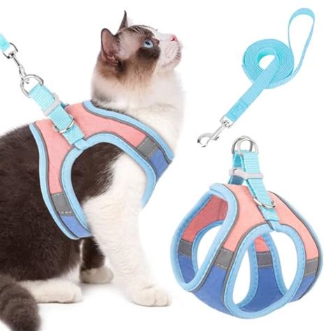 Amazon.in Bestsellers: The most popular items in Cat Harnesses