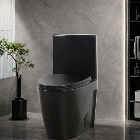 Buy Toilet, One Piece Toilet with 1.1/1.60 GPF Dual-Flush,Elongated ...