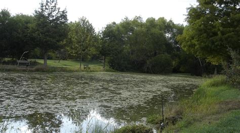 RIVERSIDE PARK (Bay City) - Campground Reviews & Photos - Tripadvisor