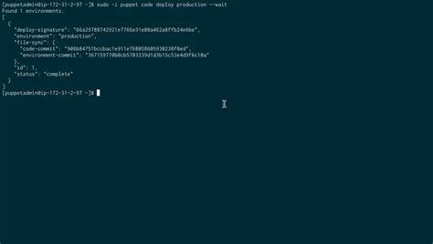 Image result for Puppet Command
