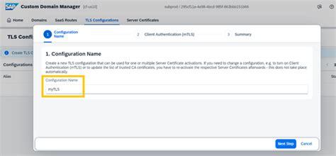 Get Started with Creating a Custom Domain in SAP Build Work Zone ...