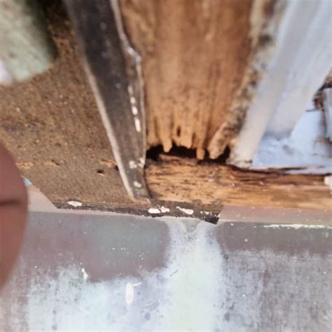 Image result for How to Restore Window Timber Frame