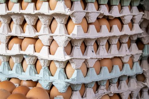 30 Dozen Eggs Wholesale | Eggs Unlimited