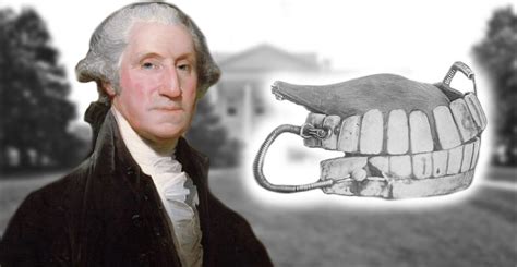 George Washington's Dentures had Some Truly Bizarre Components | The ...