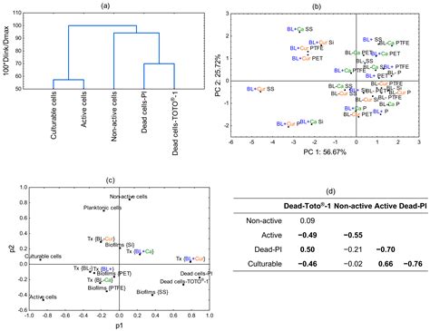 Antibacterial and Antibiofilm Effects of Photodynamic Treatment with ...