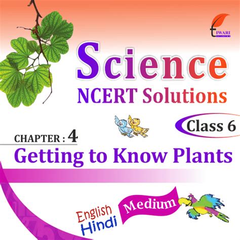 Image result for Class 6th Science Chapter 4