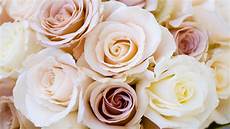 Low Cost Wedding Flowers by 16 Cheap Wedding Flowers That Still Look Beautiful For Low Cost Wedding Flowers
