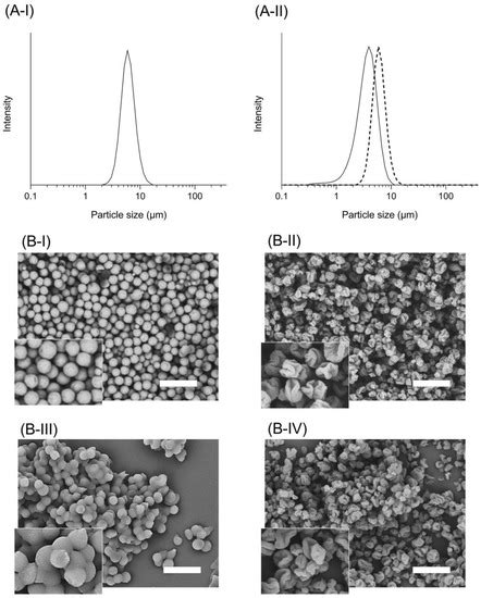 Cyclosporine A-Loaded Ternary Solid Dispersion Prepared with Fine ...
