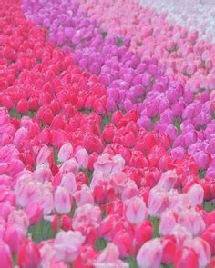 Image result for Practise HTML Code