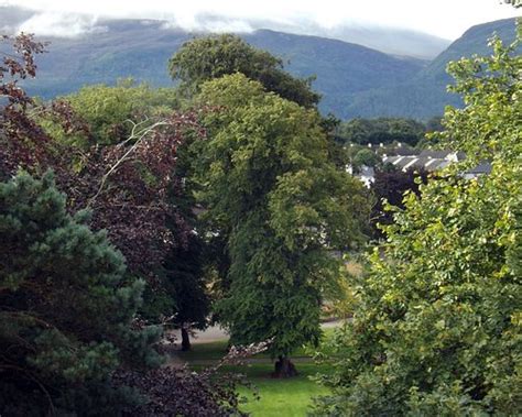 KILLARNEY PLAZA HOTEL - Hotel Reviews, Photos, Rate Comparison ...
