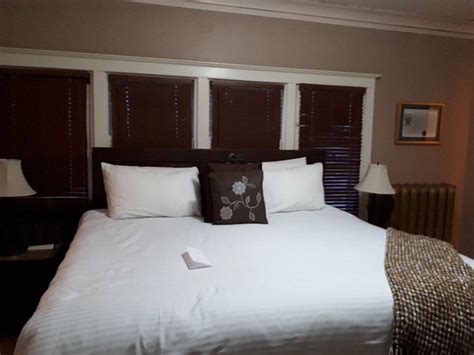 King Legacy Script Auto Sea Beast 的图像结果