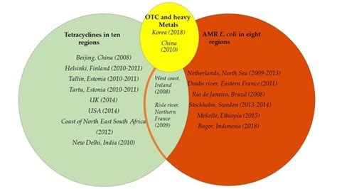 Hospital Effluents and Wastewater Treatment Plants: A Source of ...