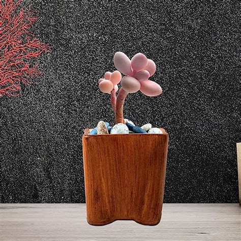 Lasaki Mini Ceramic Pot for Indoor Plants, Living Room, Interior Flower ...