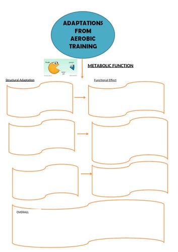 Type of Exercise 的图像结果
