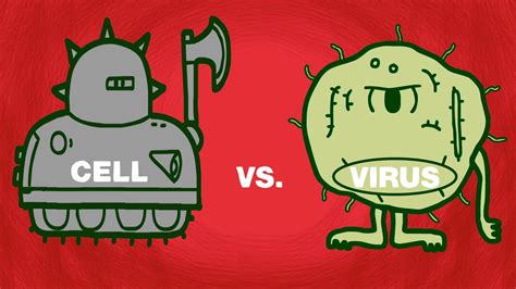 White Blood Cells Fighting Infection Cartoon