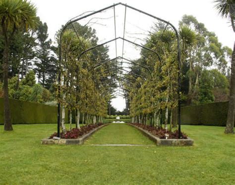Larnach Castle & Gardens | Native New Zealand Birds at Larnach Castle ...