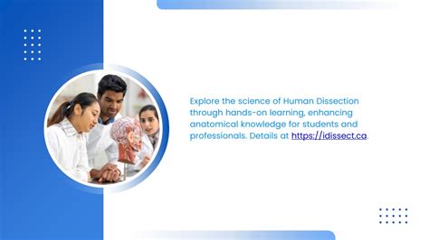 Image result for Human Dissection Tutorial