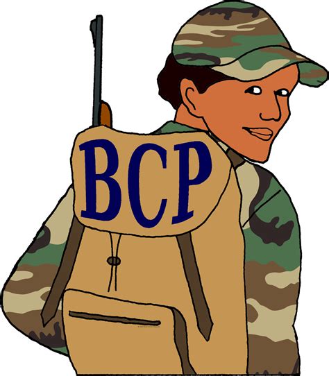 BCP Latest 的图像结果