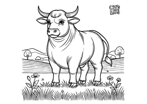 Image result for Cow Color Sheets