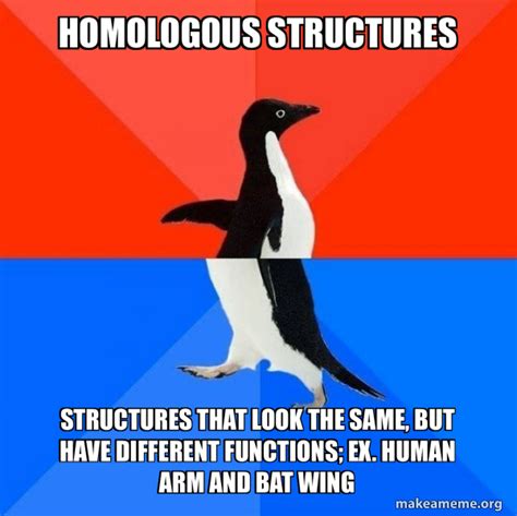 Structure Meme 的图像结果