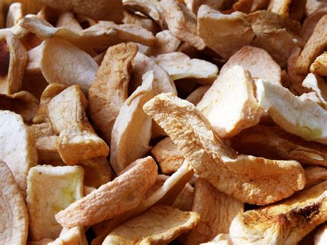 HerbiEaters himalayan pealed and dried Dried apple 100 grm Best for ...