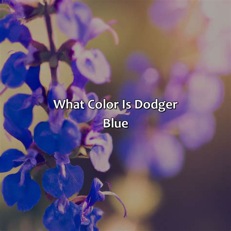 What Color Is Azul - colorscombo.com