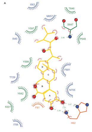 Image result for Ligplot Online Server