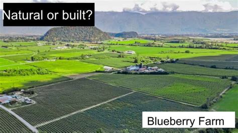 Example of Local Community 的图像结果