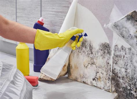 How to Remove Black Mold From Bathroom: Expert Tips