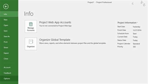 Using MS Project Launch 的图像结果